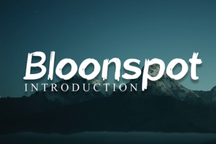 Bloonspot: A Playful Display Font for Creative Projects