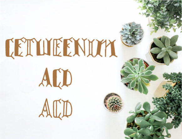 Cetweenim: A Creative Font for Making Your Products Stand Out
