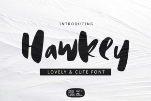 Hawkey Font: A Casual Brush Pen Display Typeface