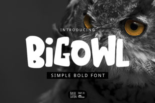 How the Big Owl Display Font Can Energize Your Campaign