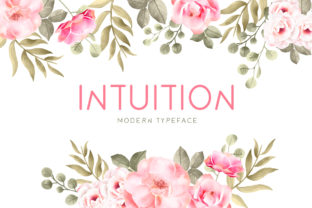 Intuition Font Review for Small Business Branding