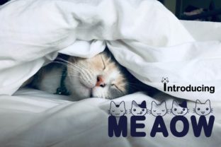 Meaow Font: Creating Standout Visuals for Marketing Campaigns
